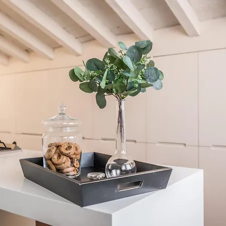 Emilia Urban Apartment Modena